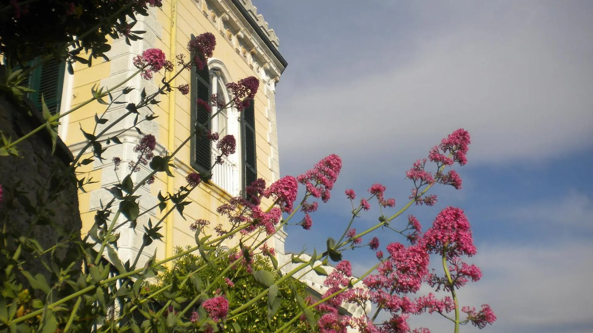 Castello Canevaro Aparthotel Zoagli Bed & Breakfast